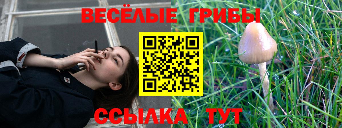 Йошкар-Ола  Псилоцибиновые грибы мицелий  Вход с VPN  Псилоцибиновые грибы Psilocybine cubensis 